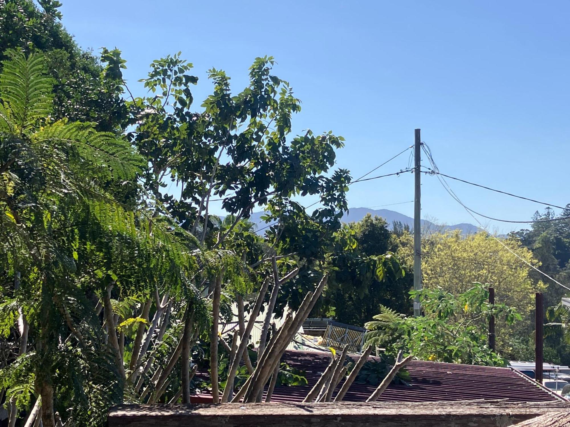 Apartamento Potters Warehouse Bellingen Exterior foto